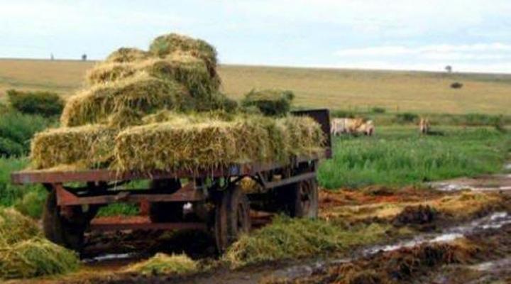 Zoutspruit Bed & Breakfast