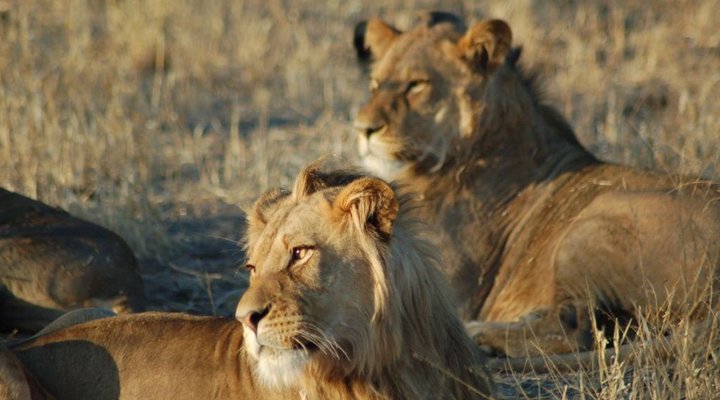 Deception Valley Lodge