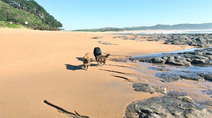 BellaVida Ocean Cottage