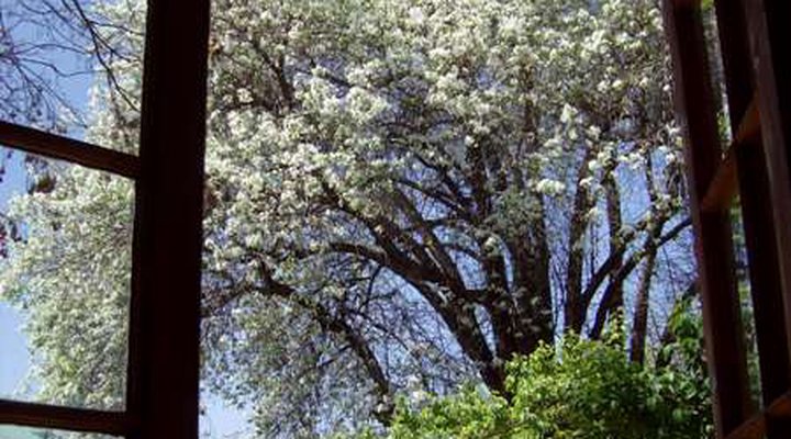 92 on Sixth Melville