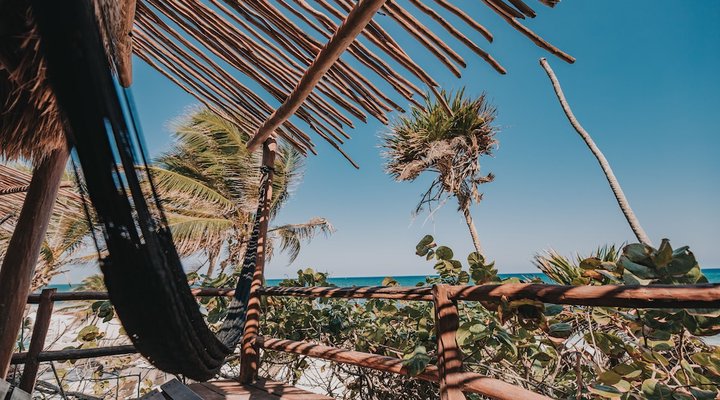 Papaya Playa Project