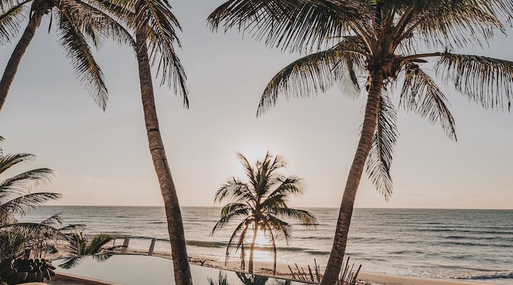 Papaya Playa Project