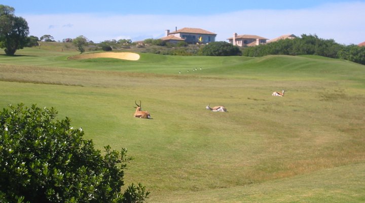 Golf & Stay