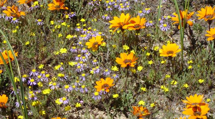 Sutherland Guest House