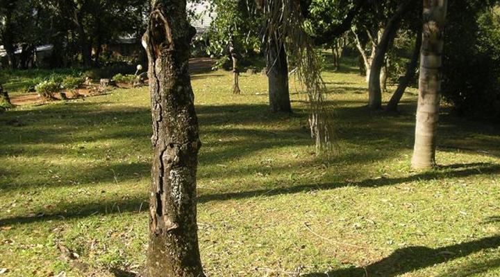 Mountain Glen Guest House