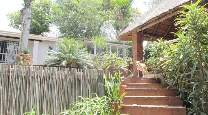 Hadeda House Backpackers