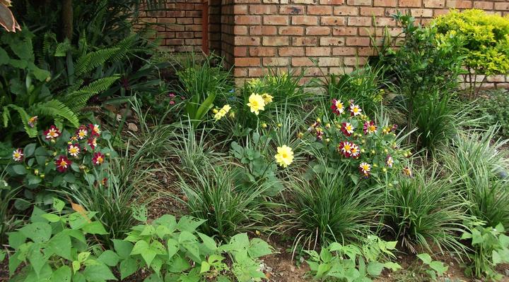 Bergsig Self-catering