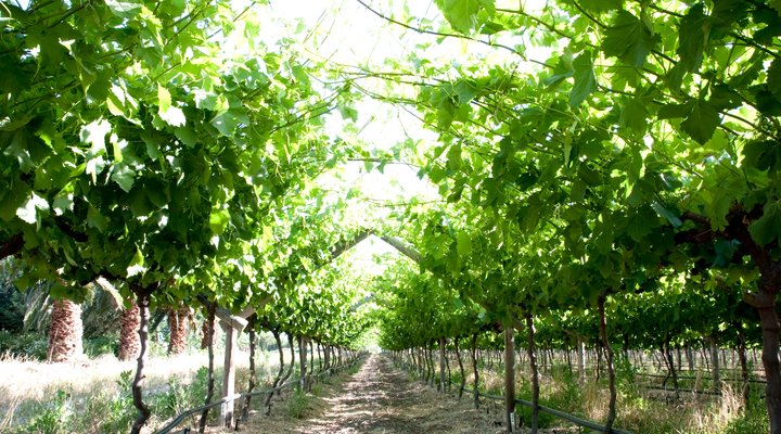 Tweespruit Self-catering Cottage