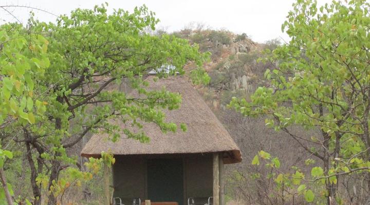Letaba Safari Lodge
