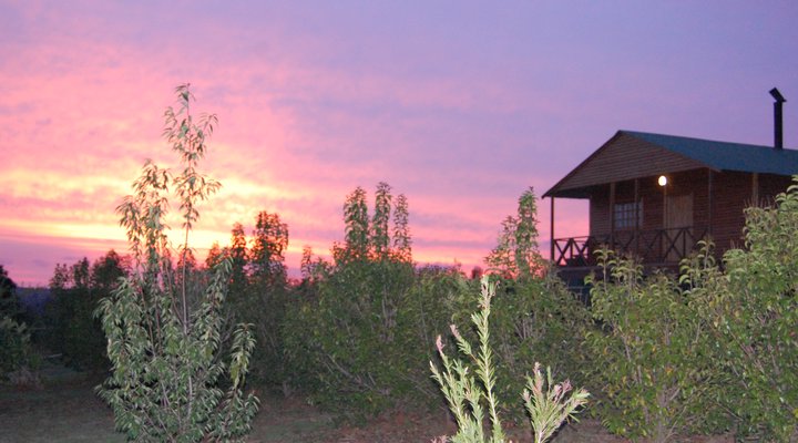 Nullarbor Cottages