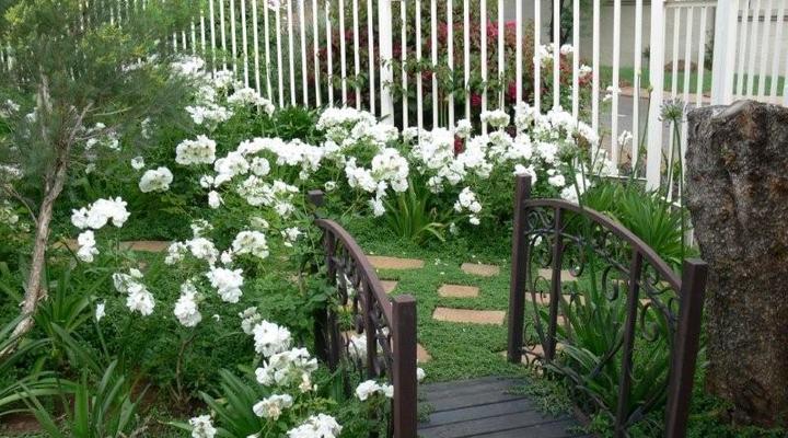 Lavender and Rose Cottage