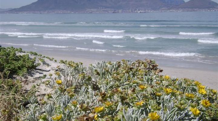 Aandvari Sunset Court