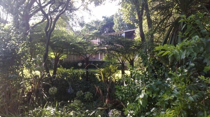 Ash Manor Luxury Guesthouse