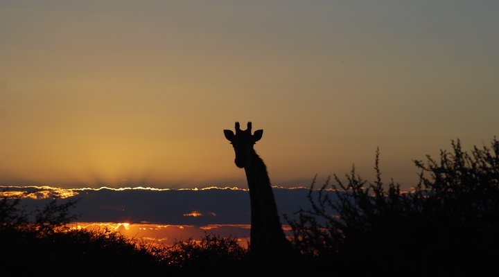 Leopardsong Game Lodge