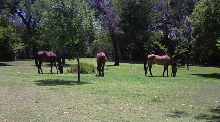 Sabrisa Romantic Getaway