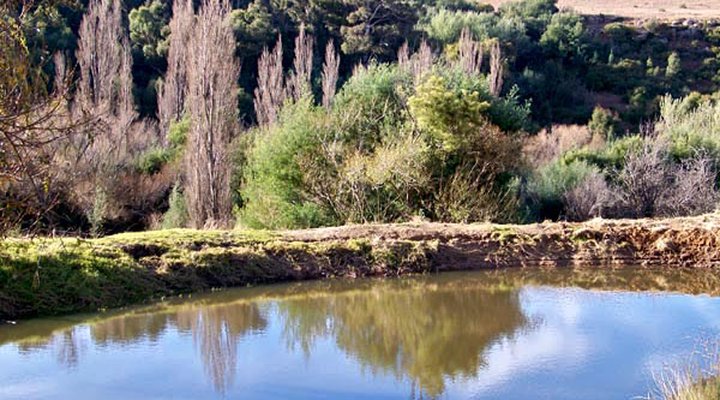 Verkykerskop Country Village & Farm Retreat