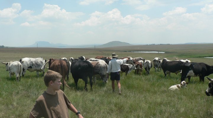 Verkykerskop Country Village & Farm Retreat