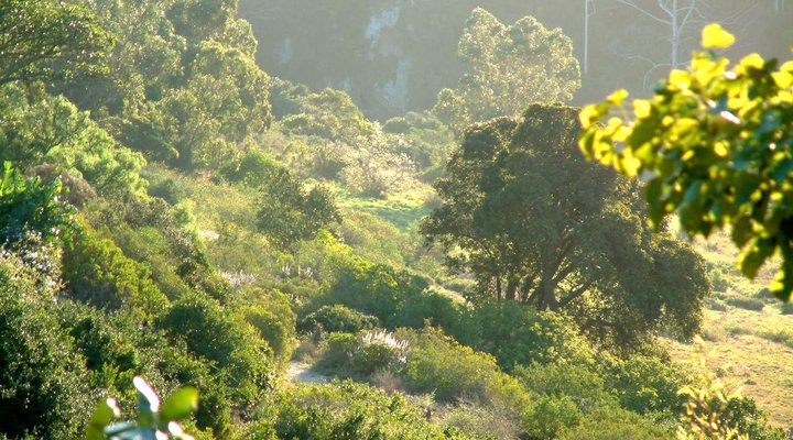 Villa Casa Guest House