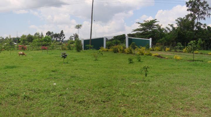 Hexagon Mbili Farm Lodge