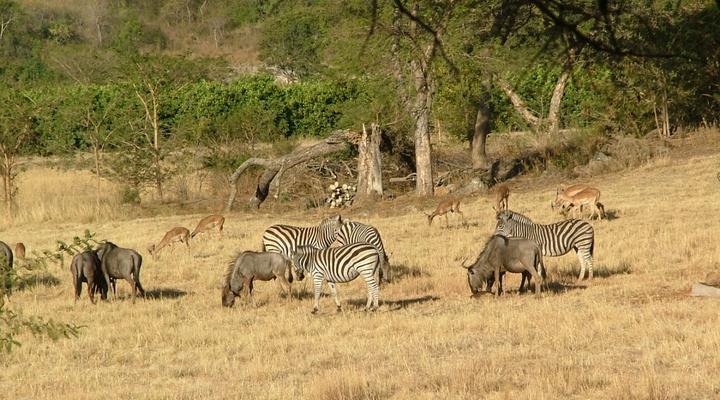 Wokini Guest House & Game Farm