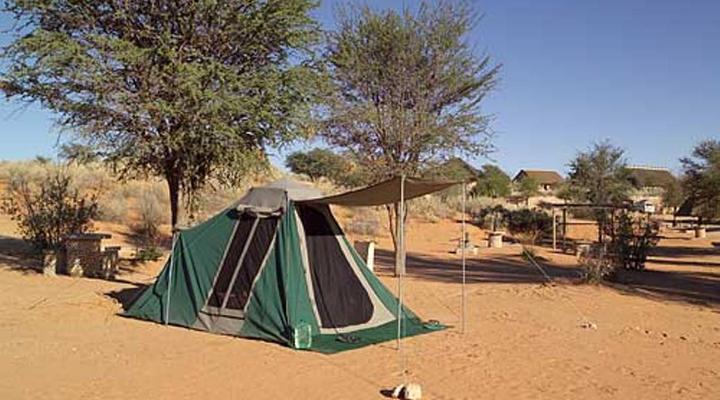 SANParks Twee Rivieren Rest Camp Kgalagadi Transfrontier Park