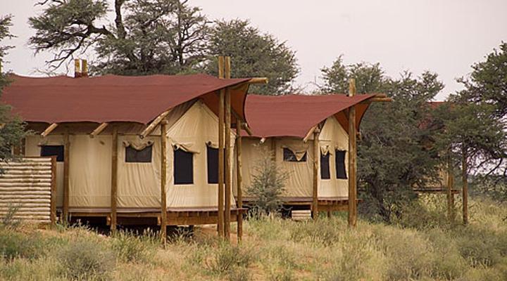 SANParks Kalahari Tent Camp Kgalagadi Transfrontier Park