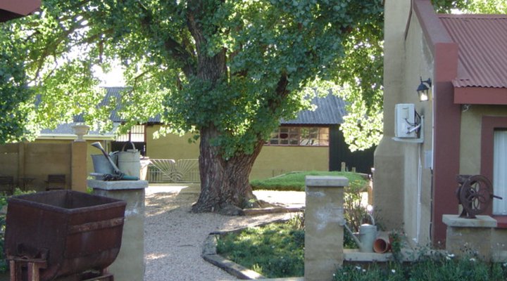 African Olive Country Estate