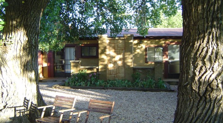 African Olive Country Estate