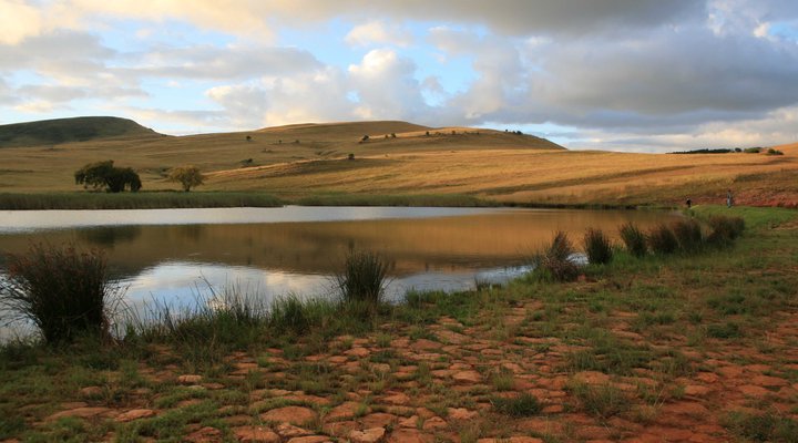 Highland Giants Estate