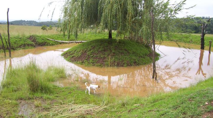 Tswalu Grove Safari Lodge