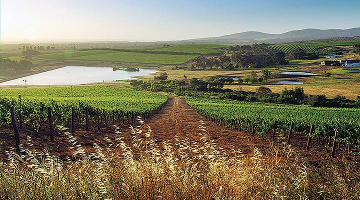 Burgherspost Wine Estate