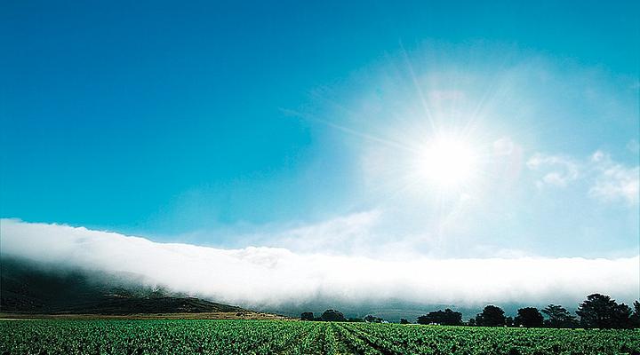 Burgherspost Wine Estate