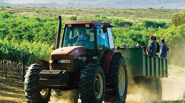 Burgherspost Wine Estate