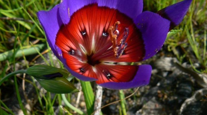 Burgherspost Wine Estate