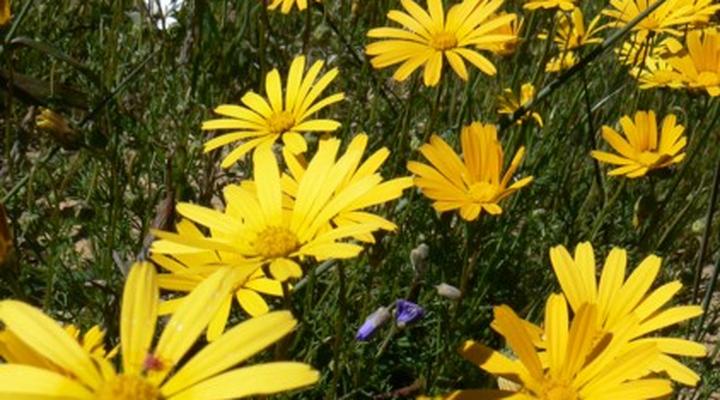 Burgherspost Wine Estate