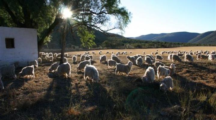 Eenzaamheid Holiday Farm