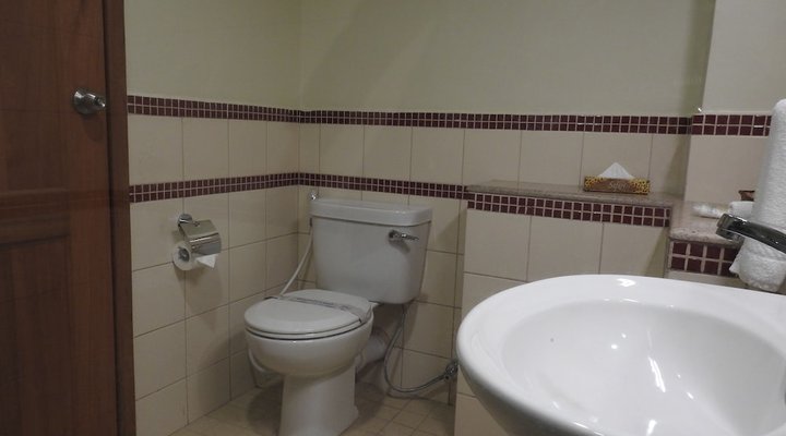 Venus Premier Hotel