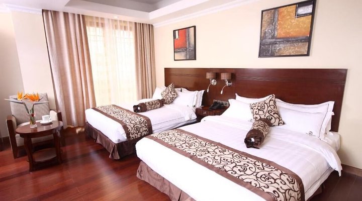 The White Rhino Hotel