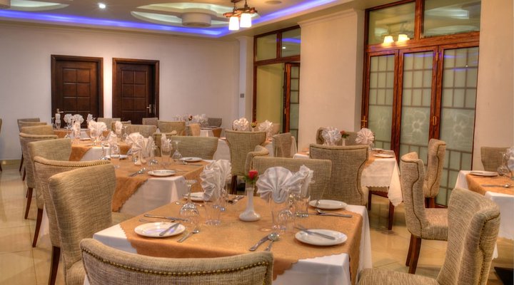 The White Rhino Hotel