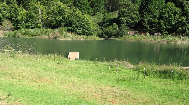 Silver Mist Adventure Lodge