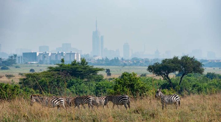 Park Inn By Radisson Nairobi Westlands