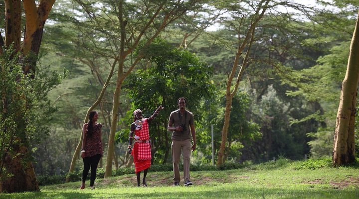 Sarova Lion Hill Game Lodge