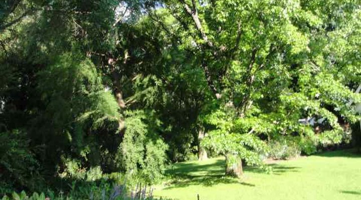TwentyOne Luxury Homes in Bryanston
