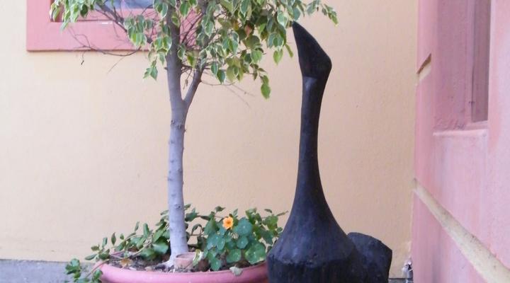 Guest House Fischreiher