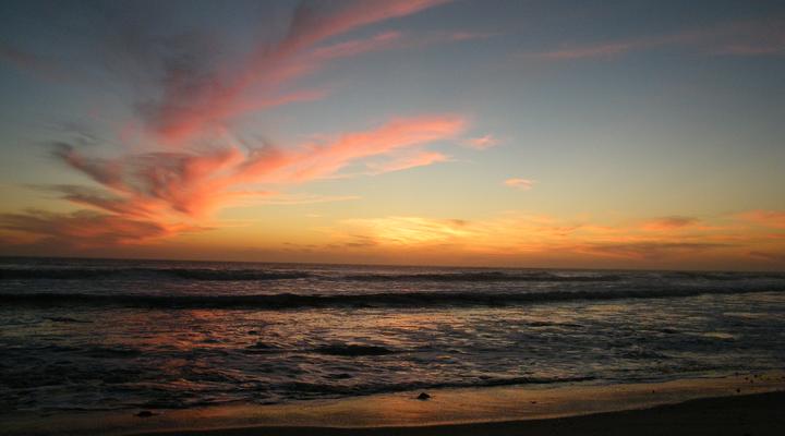 Guest House Fischreiher