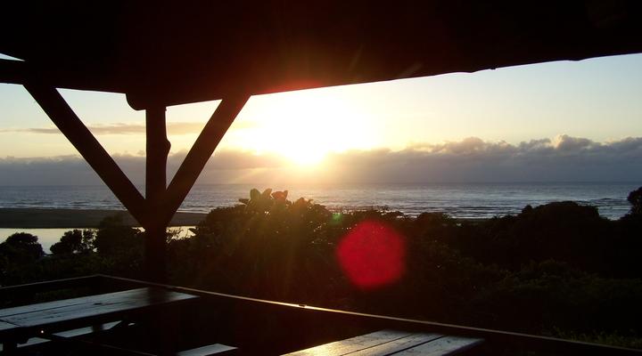 Jungle Monkey Backpackers