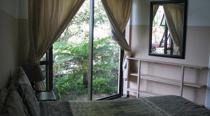 Jungle Monkey Backpackers