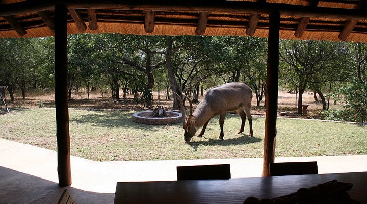 Masorini Bush Lodge