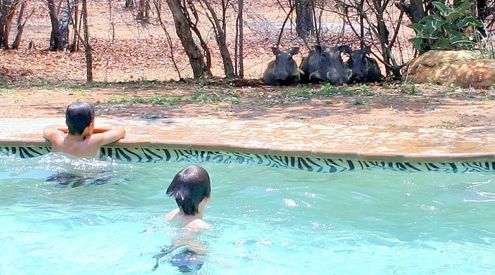 Masorini Bush Lodge