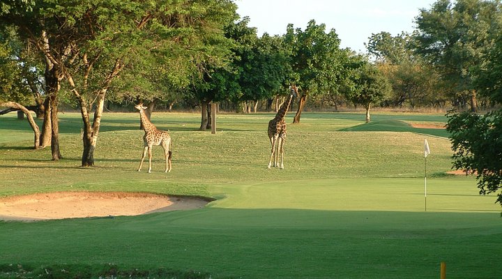 Masorini Bush Lodge